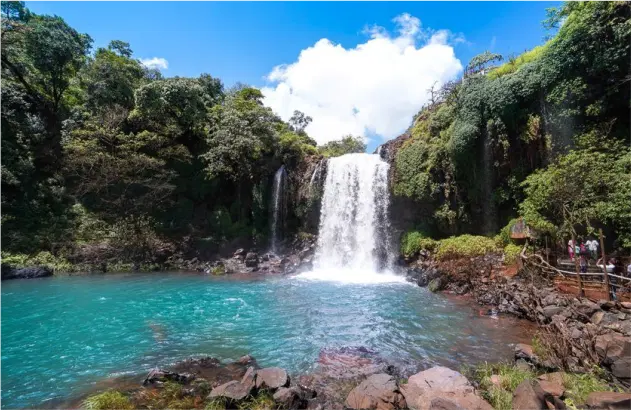 Manisha Tour and Travels Satara